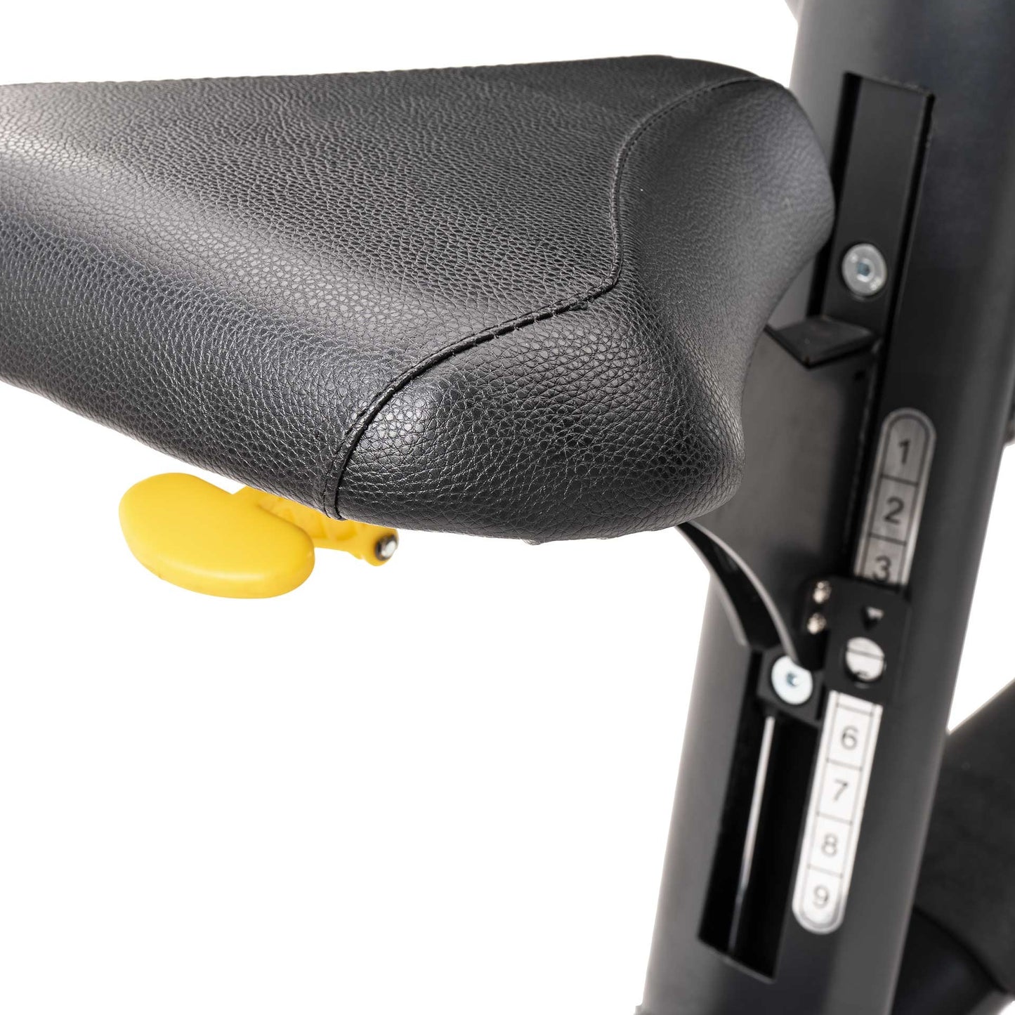 Panca Seated Scott Bench Diamond Professional Serie 300