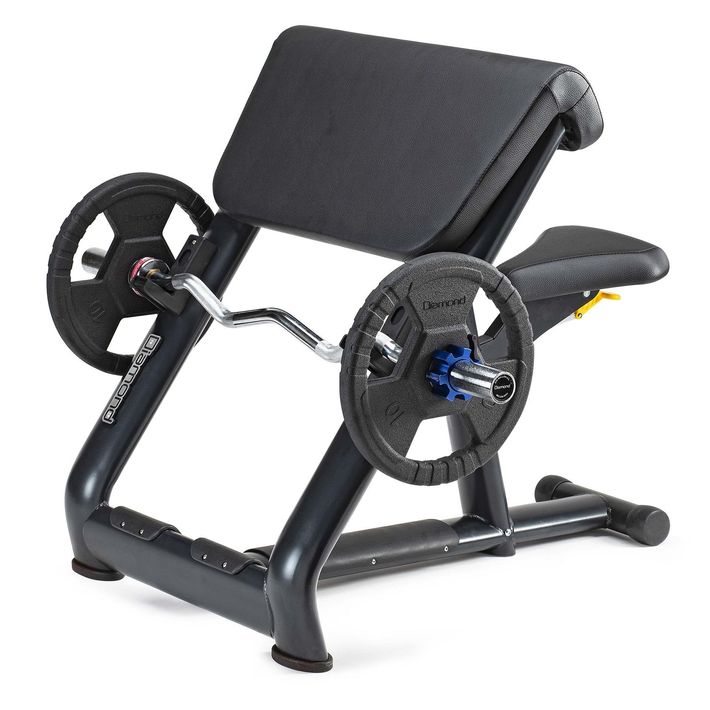 Panca Seated Scott Bench Diamond Professional Serie 300