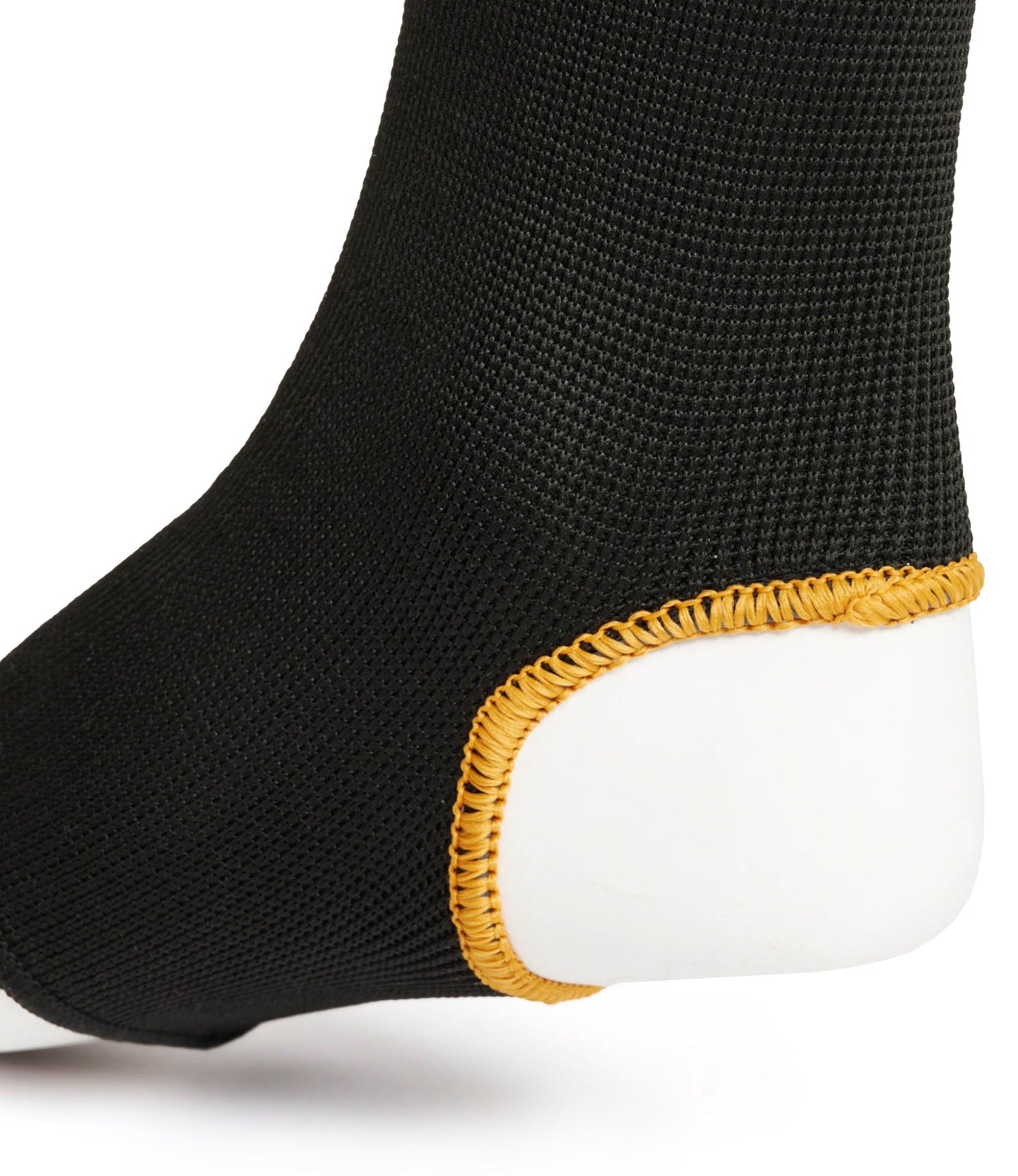 Cavigliere Leone DNA