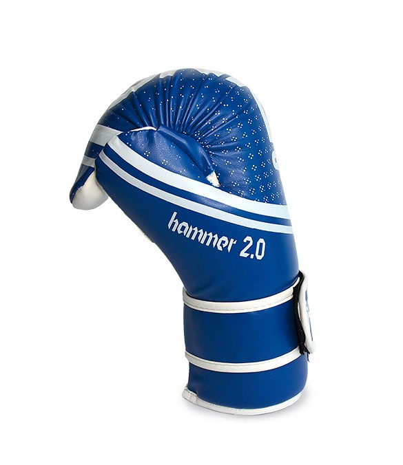 Guanti Point Fighting Top Ring Hammer 2.0 Blu