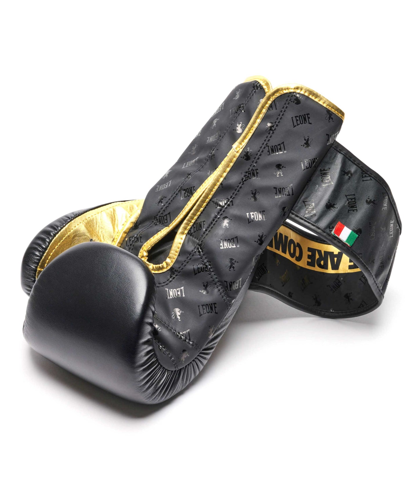 Guantoni Leone DNA GN220