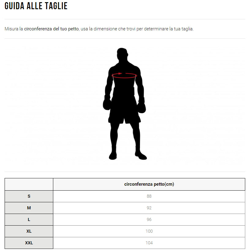 Canotta Boxe Leone Flag