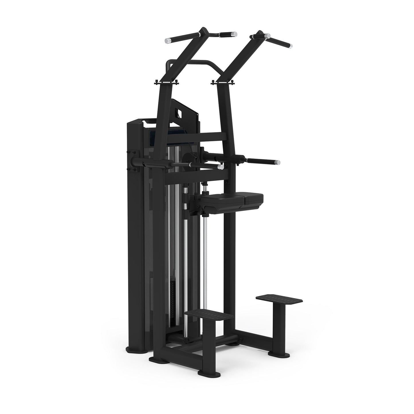 Chin up - Dip Diamond Professional Serie 650