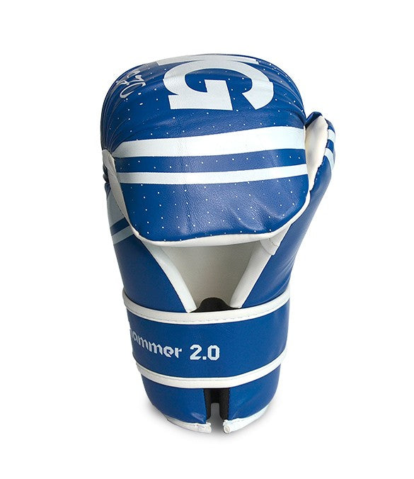 Guanti Point Fighting Top Ring Hammer 2.0 Blu