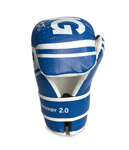 Guanti Point Fighting Top Ring Hammer 2.0 Blu