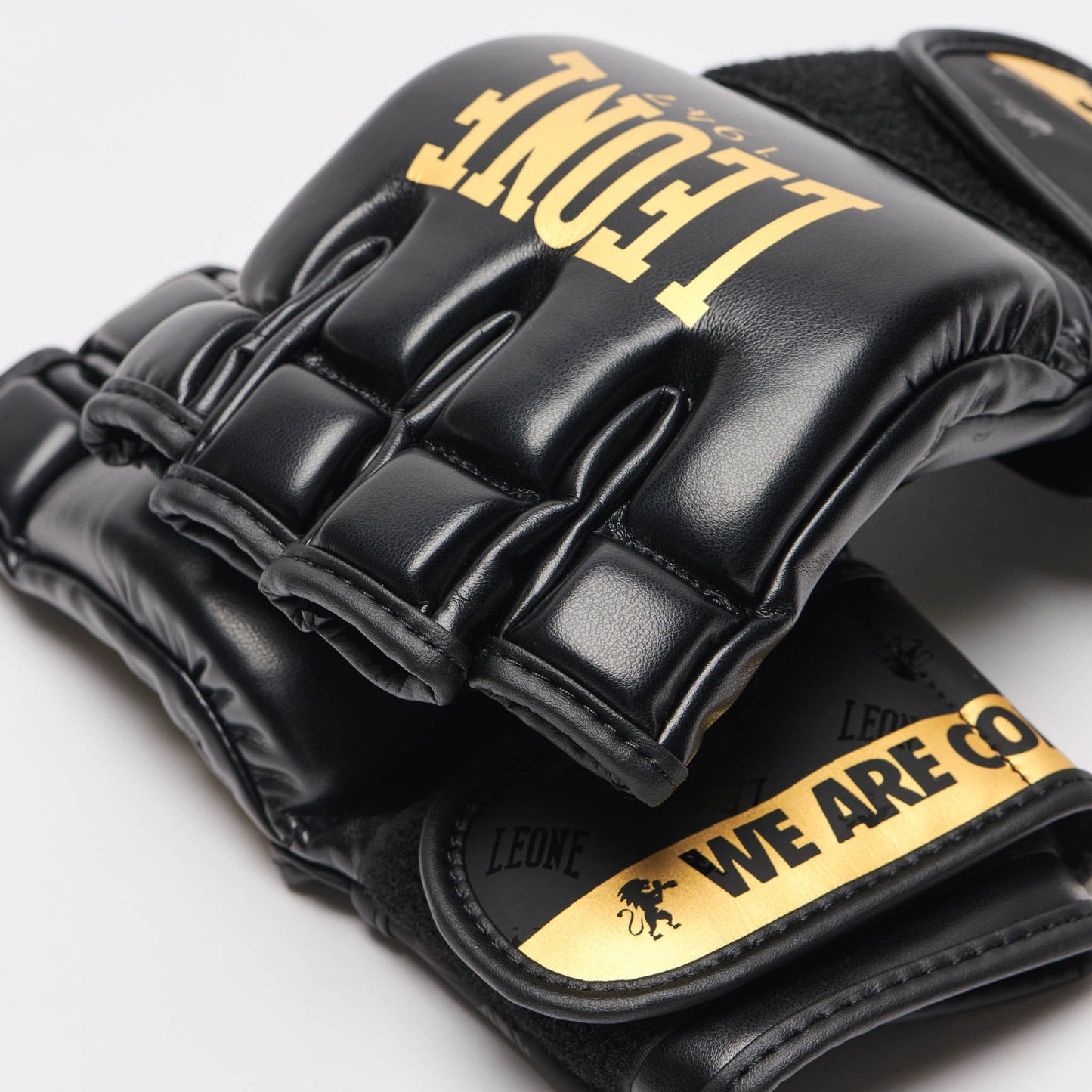 Guanti MMA Leone DNA