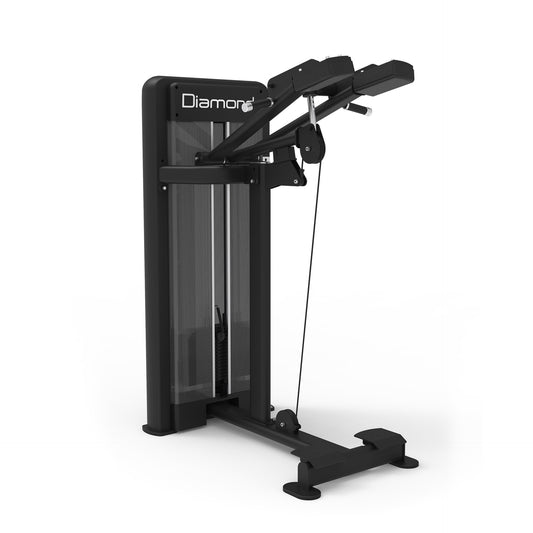 Standing Calf Machine Diamond Professional serie 550